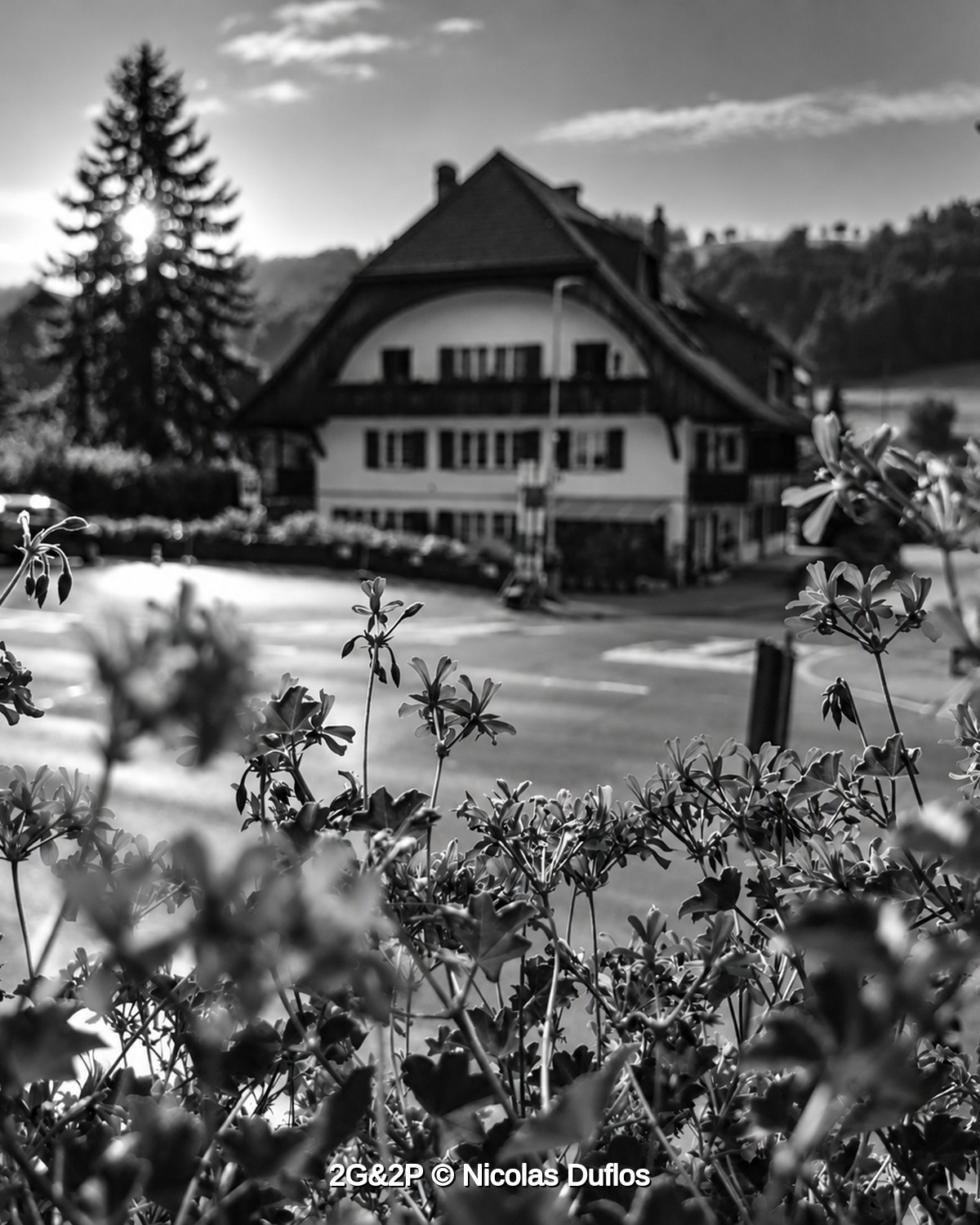 ECLAIRCIES — 🇨🇭 SUISSE